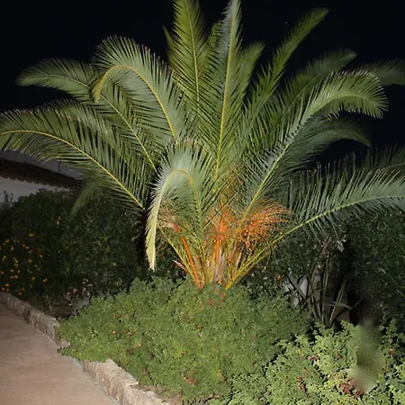 Les Amandiers